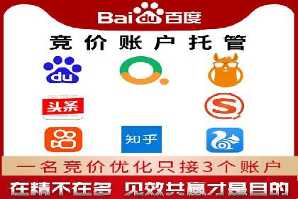 SEM投放策略优化案例分析